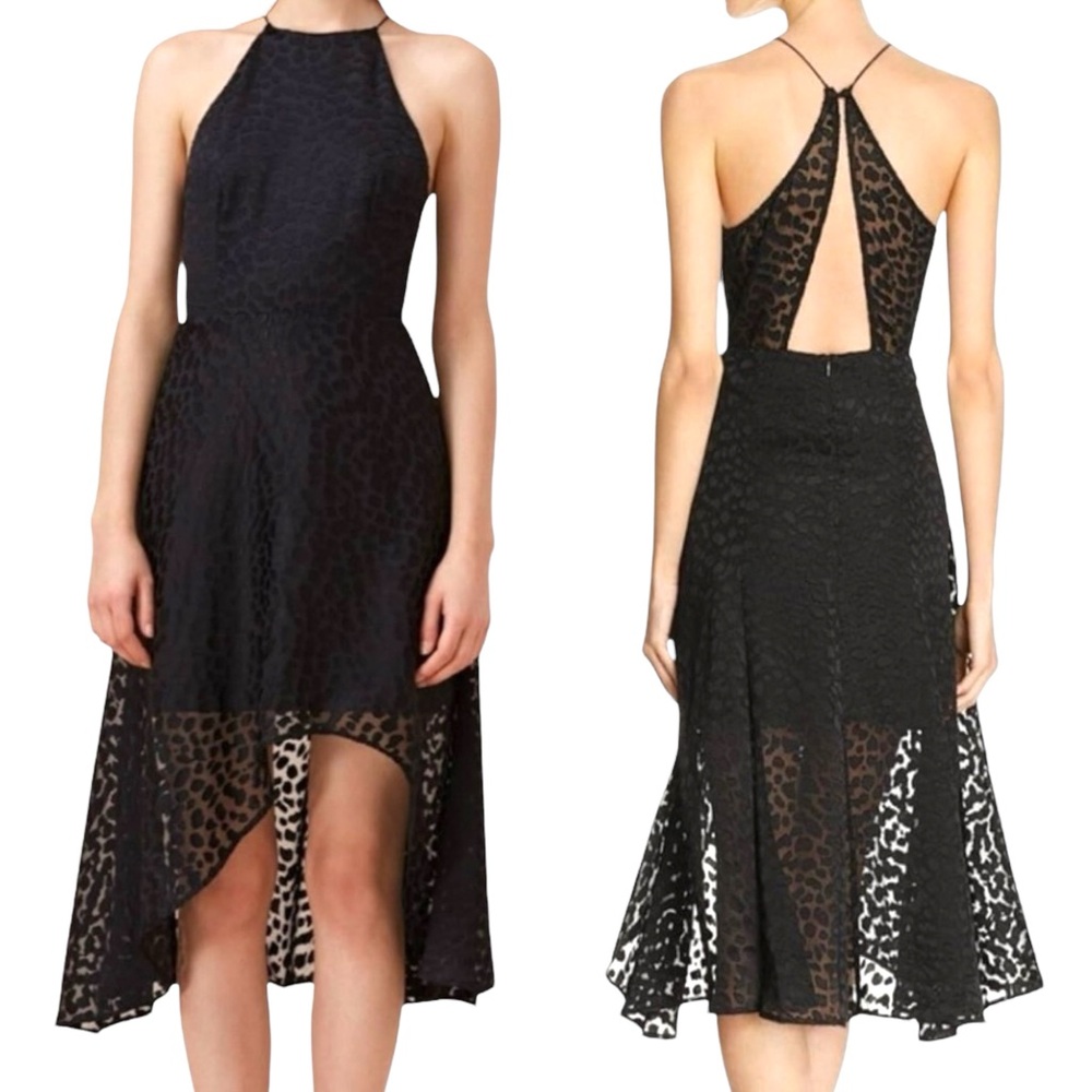 Keepsake Lovers Black Leopard Print Burnout‎ Chiffon High-Low Formal Dress M NWT